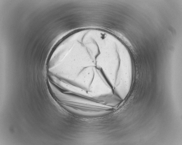 X0000116141380200912211440