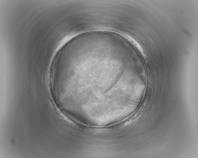 X0000116141381200912211440