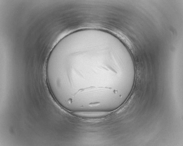 X0000116141382200912211440