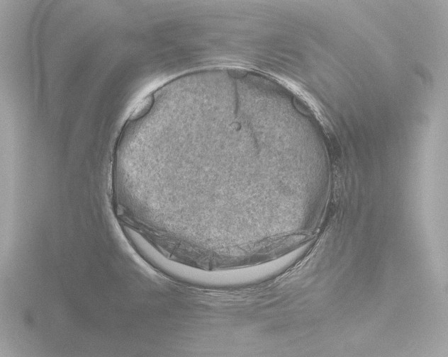 X0000116141383200912211440