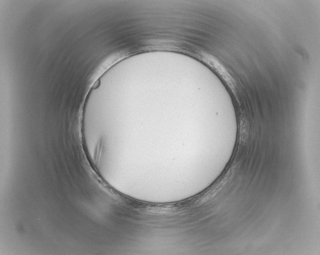 X0000116141386200912211440