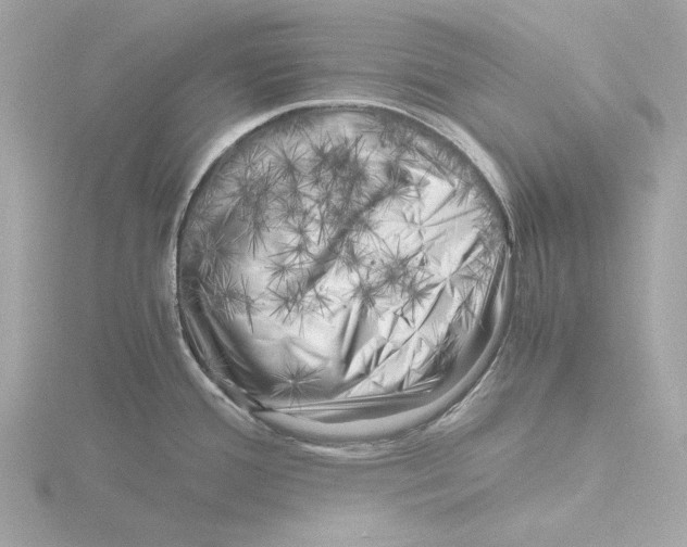 X0000116141388200912211440