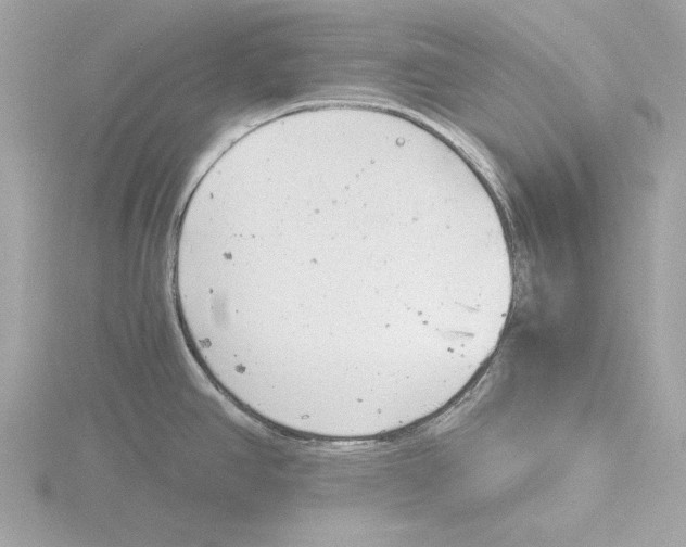 X0000116141390200912211440