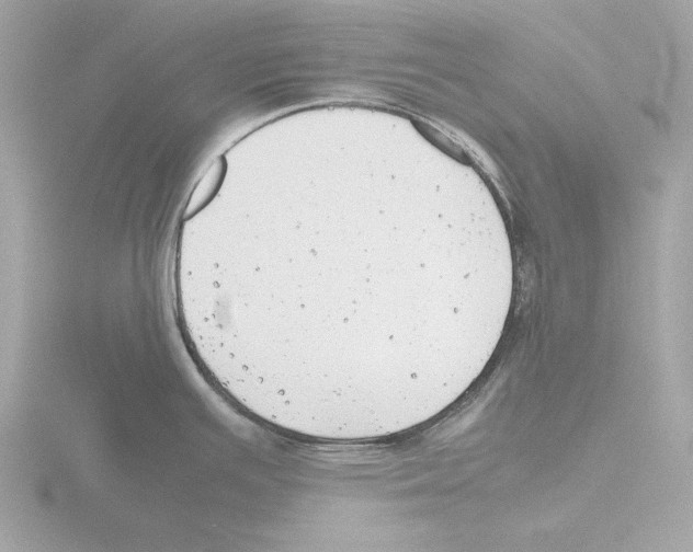 X0000116141391200912211440