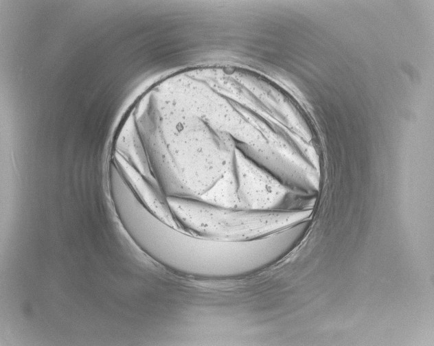 X0000116141392200912211440