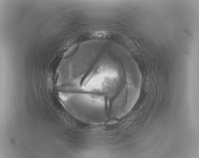 X0000116141394200912211439