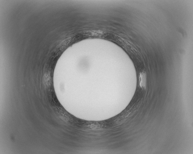 X0000116141395200912211439