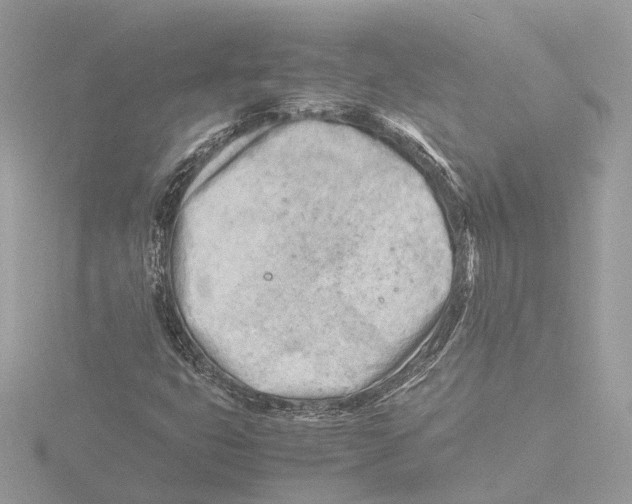 X0000116141399200912211439