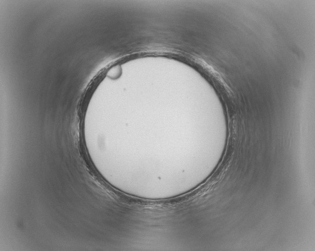 X0000116141408200912211439