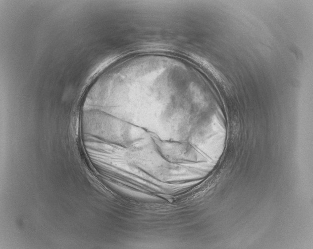 X0000116141413200912211439