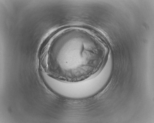 X0000116141414200912211439