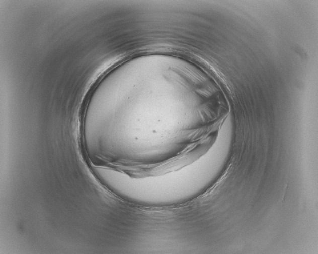 X0000116141418200912211439