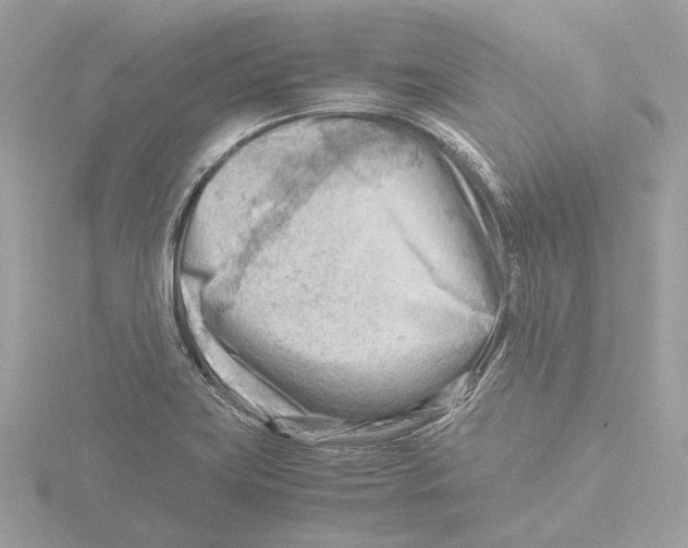 X0000116141419200912211439