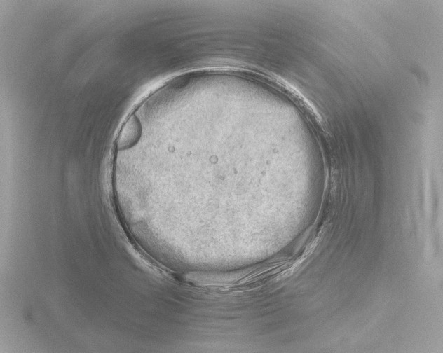 X0000116141421200912211439