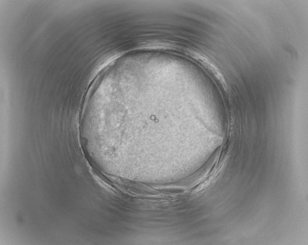 X0000116141425200912211440