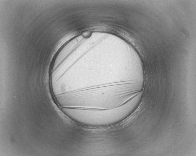 X0000116141426200912211440