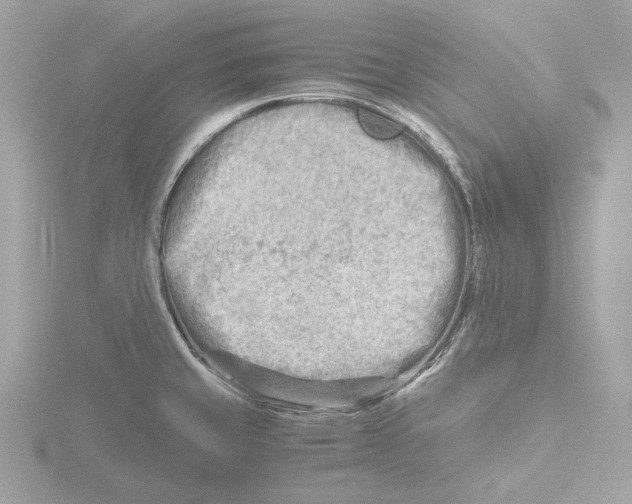 X0000116141429200912211440