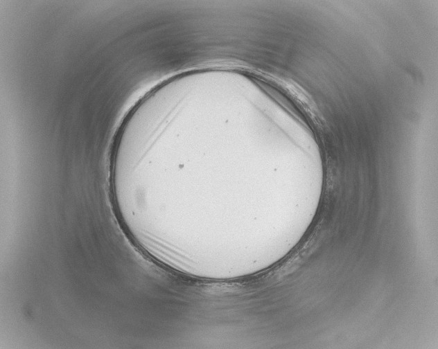 X0000116141430200912211440