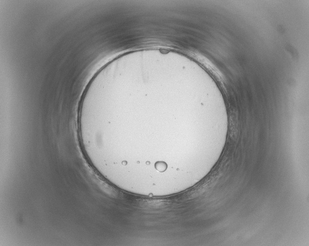 X0000116141431200912211440