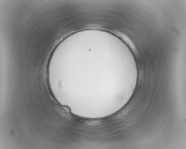 X0000116141435200912211440