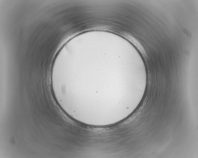 X0000116141436200912211440