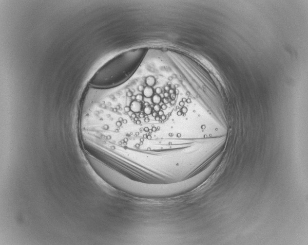 X0000116141438200912211440