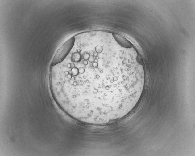 X0000116141439200912211440