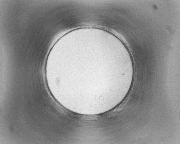 X0000116141440200912211440