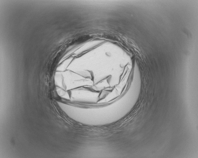 X0000116141445200912211439