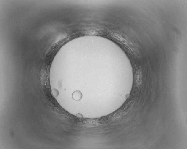 X0000116141446200912211439