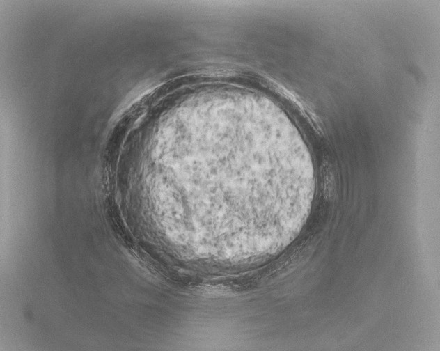 X0000116141448200912211439