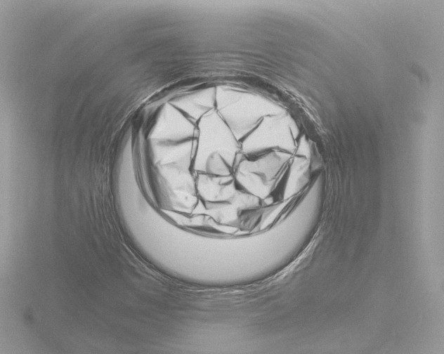 X0000116141449200912211439