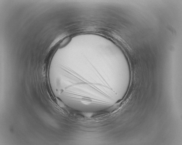 X0000116141450200912211439