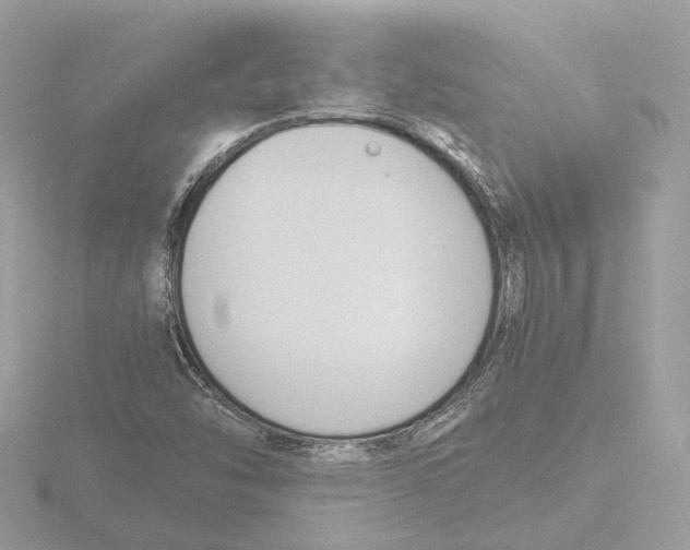 X0000116141454200912211439