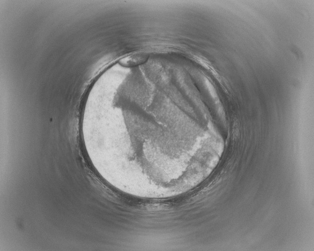 X0000116141459200912211439