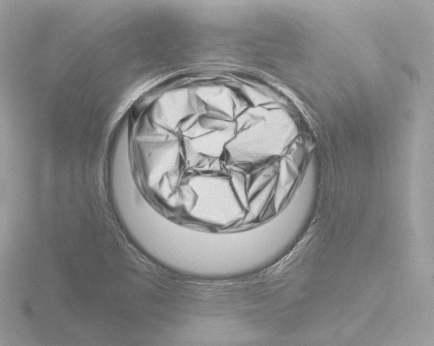 X0000116141461200912211439