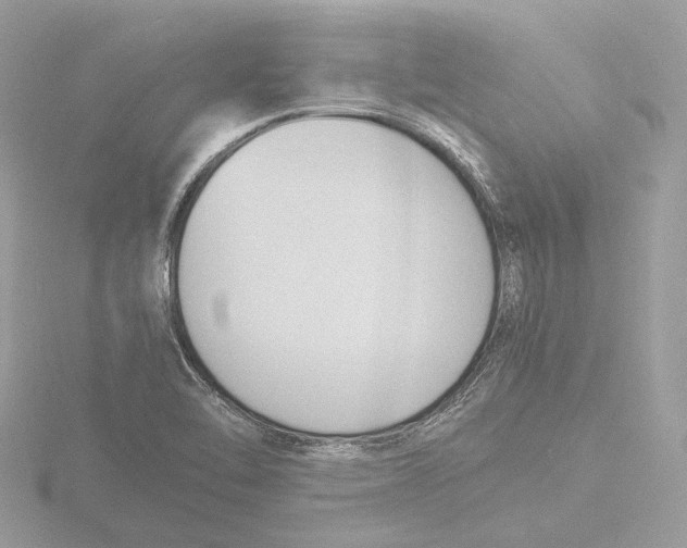 X0000116141462200912211439