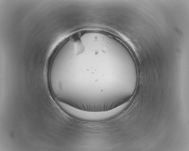 X0000116141464200912211439