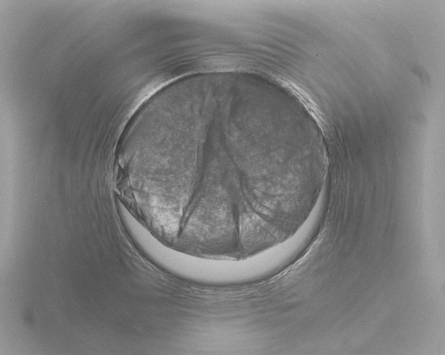 X0000116141465200912211439