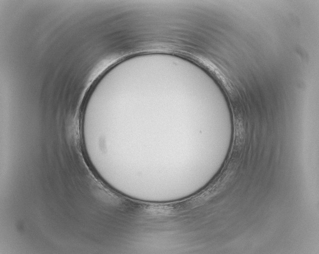 X0000116141466200912211439