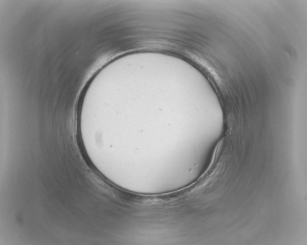 X0000116141467200912211439