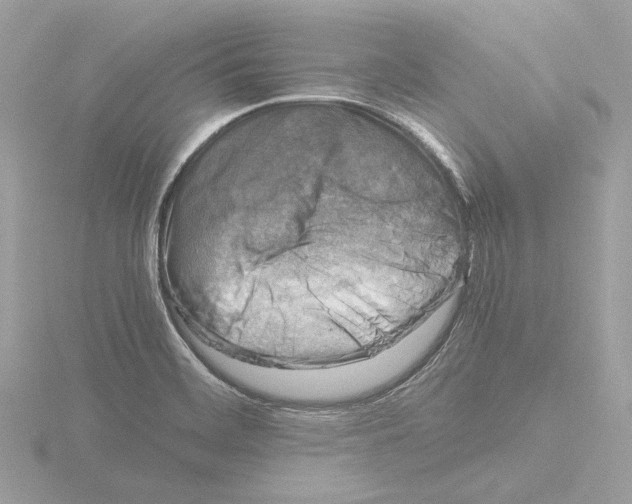 X0000116141468200912211439