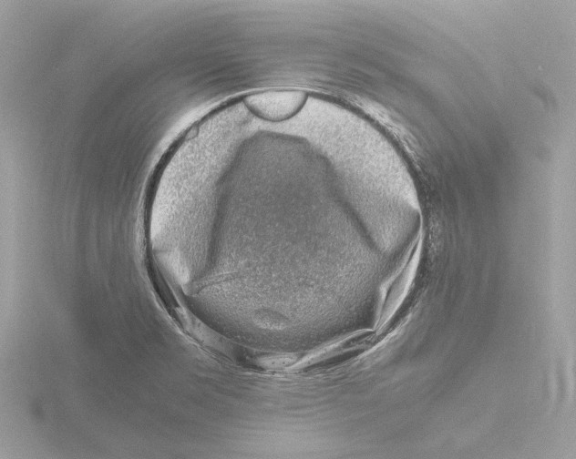 X0000116141469200912211439