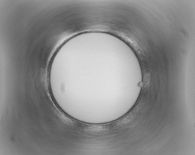 X0000116141470200912211439