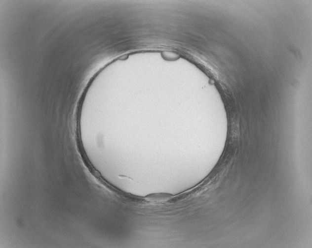 X0000116141471200912211439