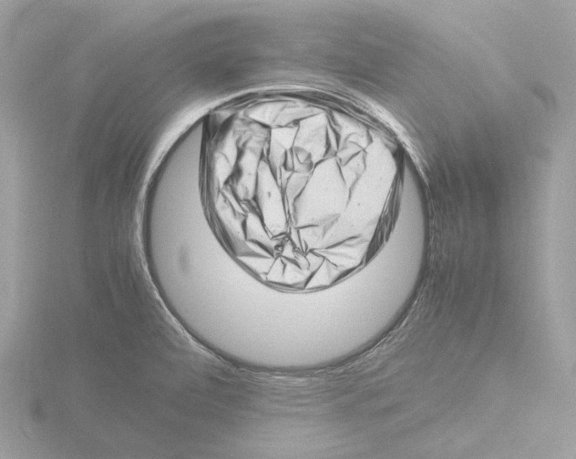 X0000116141472200912211439