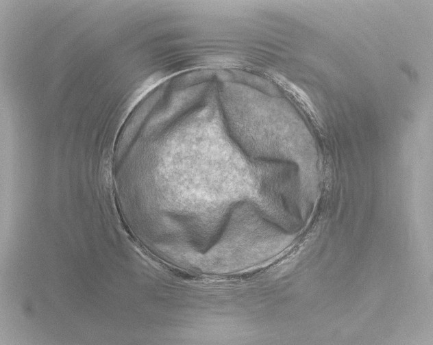 X0000116141473200912211439