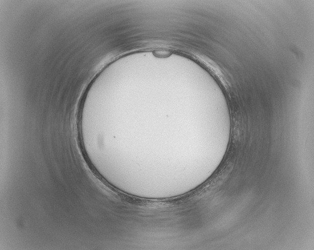 X0000116141475200912211439