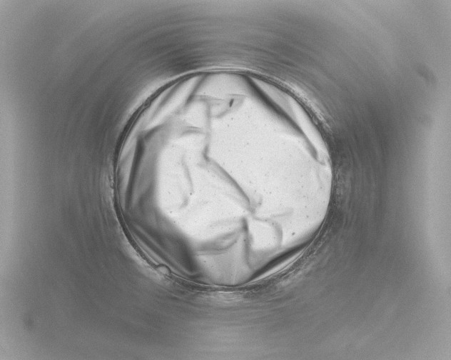 X0000116141476200912211439