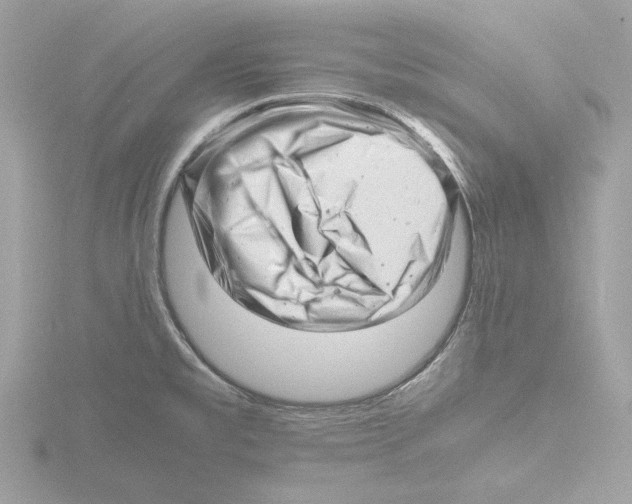 X0000116141477200912211439